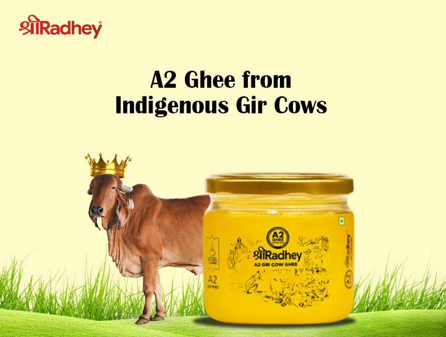 Reasons behind Promoting Indigenous Gir Cows